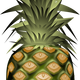 Pineapple Vector Art