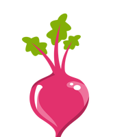 Pink Beet vector file