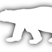 Polar Bear Vector Clipart