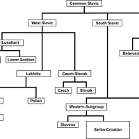 Slavic language diagram vector clipart