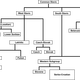 Slavic language diagram vector clipart