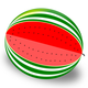 Watermelon Vector clipart