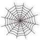 Spider Web Vector Art