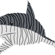 Tiger Shark Vector Clipart