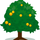 Tree with fruits vector art