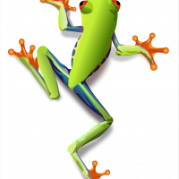 Treefrog vector