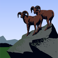 Two Mountain Goats standing on rocks vector clipart