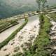 Rice fields and steppes in Vietnam