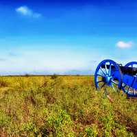 Cannon on the field